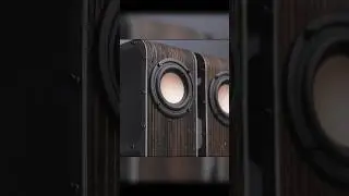 DIY Desktop Speakers | Hifi Speakers #diyprojects #speaker #shorts #tech #woodworking