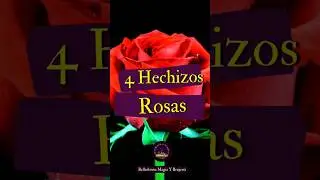 Wicca - 4 hechizos con rosas 