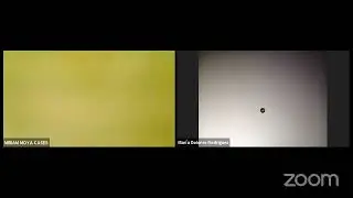 2020-11-27: OUTLOOK - Mur