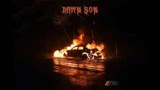 Damn Son - The Naghera , LORD PHONK | Official Music Visuliser