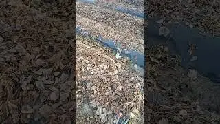 Реанимация Клубники 🍓