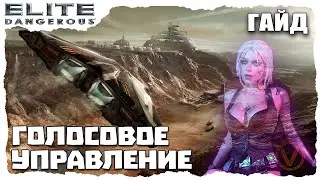 ГОЛОСОВОЕ УПРАВЛЕНИЕ. КИБЕР-ЦИРИ. ELITE DANGEROUS