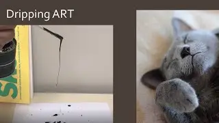 cat2