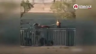 Sulama kanalında sörf yapan Adanalı izleyenleri güldürdü