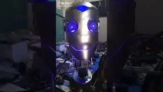 Proyecto Animatronic a pedido.