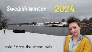 Surviving Swedish Winter