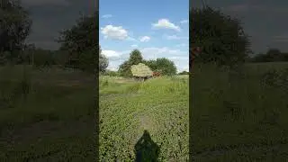 little disaster