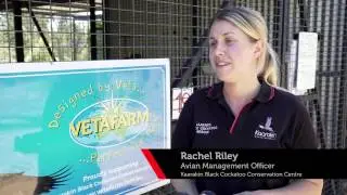 Vetafarm Sponsorship