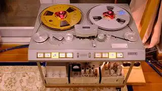 Studer C37