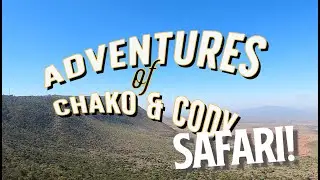 Where the Hell Are Chako and Cody: Safari Edition