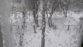Курган. 7.04.2020. Весна обнулилась и пришла снова зима.