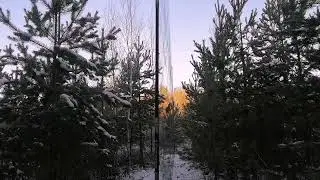 ловля щуров на орнитологическую сеть 15 * 4 ячейка 20.
