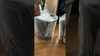 #туя