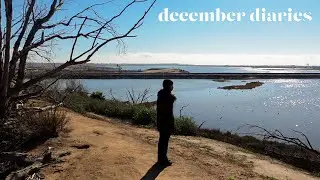 an ordinary week in my life — december diaries