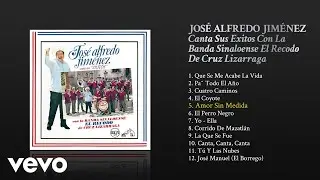 José Alfredo Jiménez - Amor Sin Medida (Cover Audio)