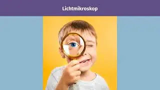 Mikroskop – Aufbau und Handhabung einfach erklärt | sofatutor