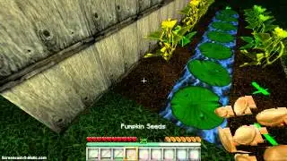 What The Mobs Look Like In My New Texture Pack!