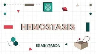 Hemostasis (Pembekuan Darah) | Ilmu Biomedik Dasar | Brainy Panda