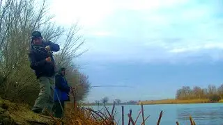 Рыбалка в Астрахани по открытой воде продлевается Береговой джиг на судака Осенний ход судака 2021