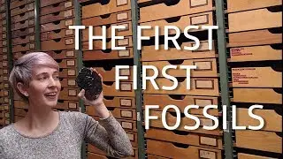 The first first fossils!