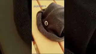ЧВК РЕДАН ТАНЦУЕТ В 3Д!!!