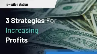 3 Strategies For Increasing Profits