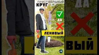 Приствольный круг БЕЗ ТРУДА