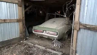 1967 Shelby GT500 Found In Iowa Barn