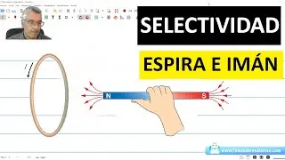 Selectividad. Física. Electromagnetismo. Espira.