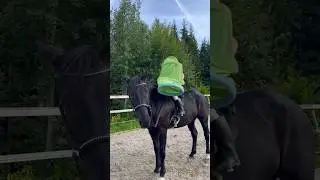 TRAINING TIPS ❤️ Try this with your horse💥 #shorts #horsetraining #horseriding
