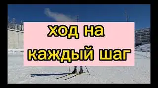 Коньковый ход на каждый шаг. Семь основных ошибок 