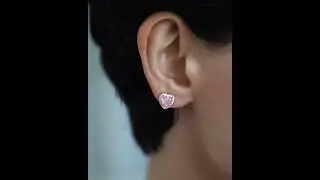 F ER011