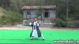 Wudang Tai-Ho Chuan by Master Chen Zhilin