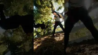 I’m posting more shorts consistently, what kind of content do you want to see? #martialarts #mk