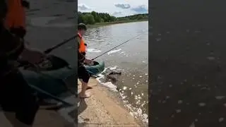 Рыбалка с сюрпризом. 