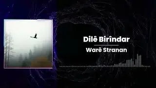 Dilê Birîndar - Warê Stranan