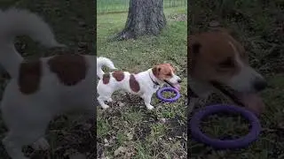 устали после тренеровки 😰