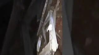 7 июня 2024 г.
