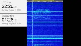 The Buzzer/UVB-76(4625Khz) August 1, 2021 