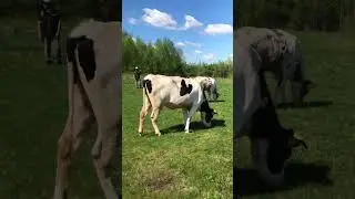 С 1 Мая!