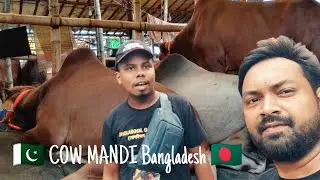 Pakistan Se Bangladesh Ke Gabtoli Cow Mandi Me • Qurbani Ke Bht Sara Janwar • MashAllah • Cow Lovers