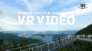 Canon 5.2mm F2.8 L DUAL FISHEYE VR VIDEO