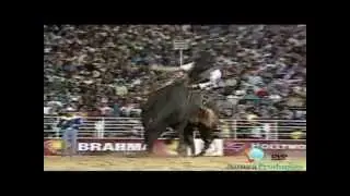 ExpoConceição 2015 - Abertura - Parte 2