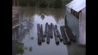 Хозяйство Елены Мороз г.Уфа наводнение 2016 года часть вторая
