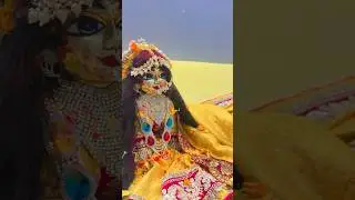 Holi start ho chuki hai #love #barsan #radha #krishna #laddu #barsana #song