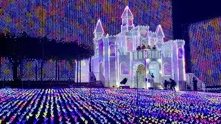 あしかがフラワーパーク【公式】🇯🇵ashikaga flower park  illumination 2020 🎌Jan 1 Castle light up