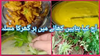We are making Kadhi Pakora | Summer Recipe | Recipe by Shazi vlogs