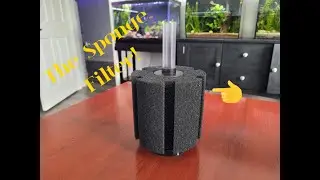 Sponge Filter Aquariums