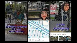 El alebrije abandonado de la Calz. Ignacio Zaragoza
