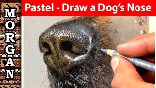 Pastel pencils how to draw a dogs nose - Pet portrait Artist
